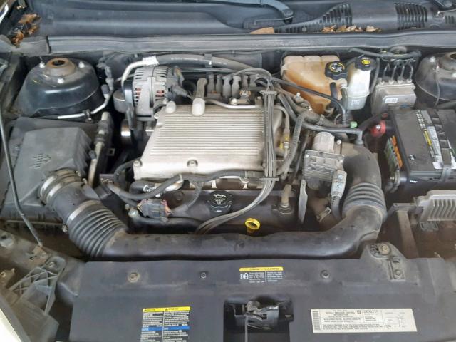 1G1ZT64874F201388 - 2004 CHEVROLET MALIBU MAX შავი ფოტო 7