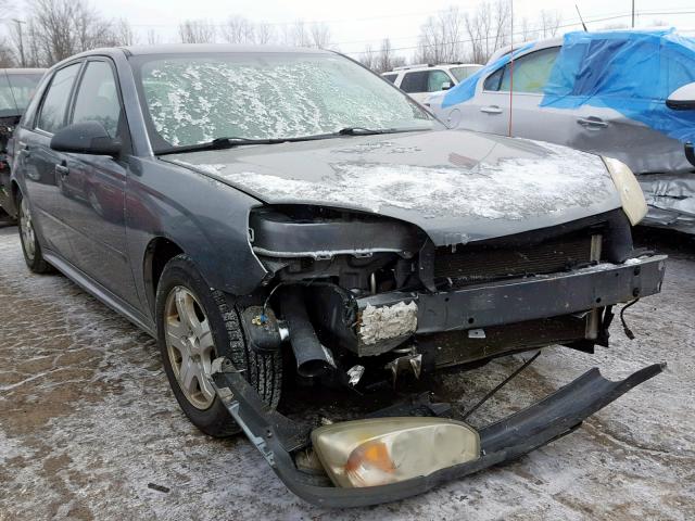 1G1ZU64884F238902 - 2004 CHEVROLET MALIBU MAX GRAY photo 1