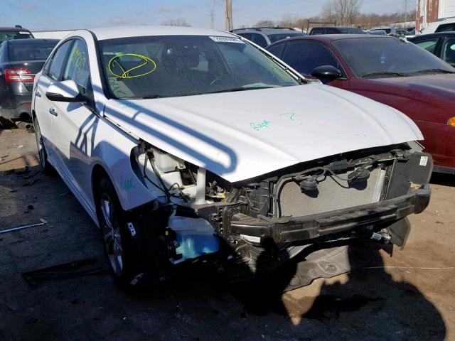 5NPE34AF6JH637065 - 2018 HYUNDAI SONATA SPO WHITE photo 1