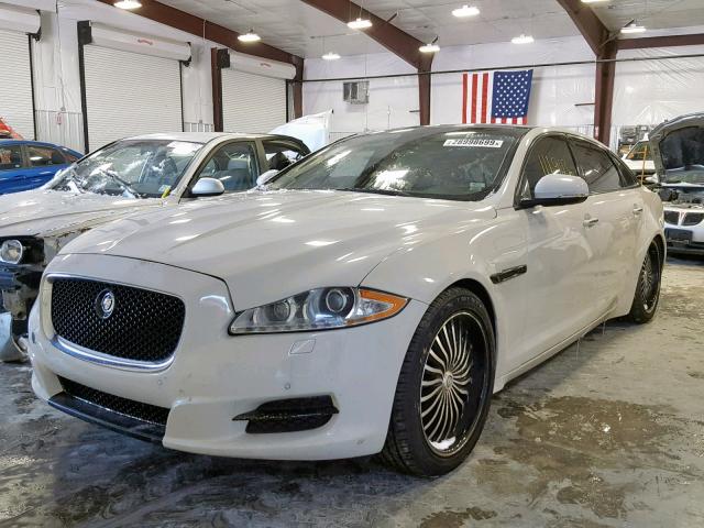 SAJWA2GB1BLV01363 - 2011 JAGUAR XJL WHITE photo 2