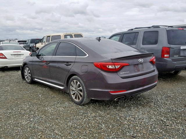 5NPE34AF7FH113575 - 2015 HYUNDAI SONATA SPO BROWN photo 3