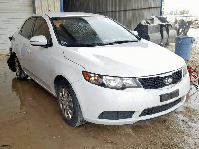 KNAFU4A21D5694841 - 2013 KIA FORTE EX WHITE photo 1