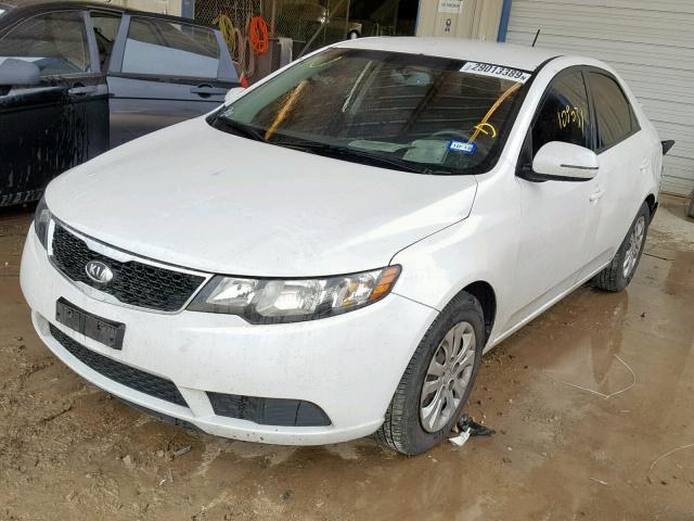 KNAFU4A21D5694841 - 2013 KIA FORTE EX WHITE photo 2