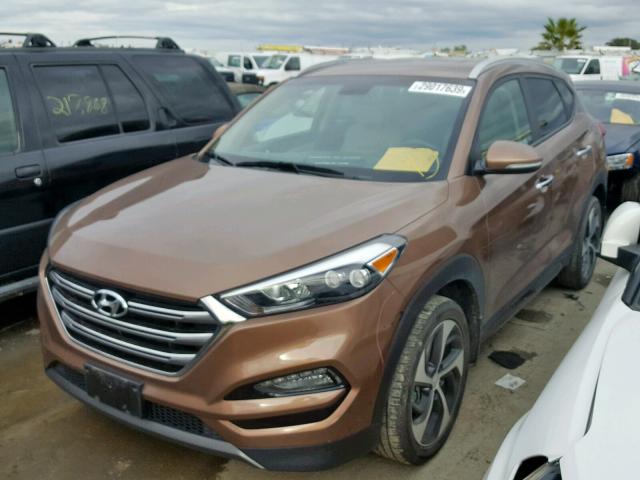 KM8J3CA21GU062356 - 2016 HYUNDAI TUCSON LIM BROWN photo 2