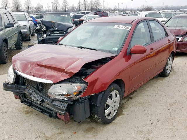 KNAFE221695620703 - 2009 KIA SPECTRA EX BURGUNDY photo 2