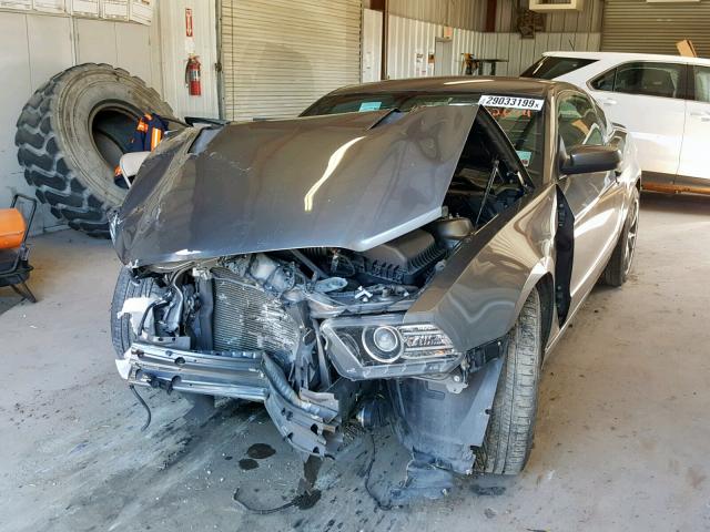 1ZVBP8CF7D5252644 - 2013 FORD MUSTANG GT CHARCOAL photo 2
