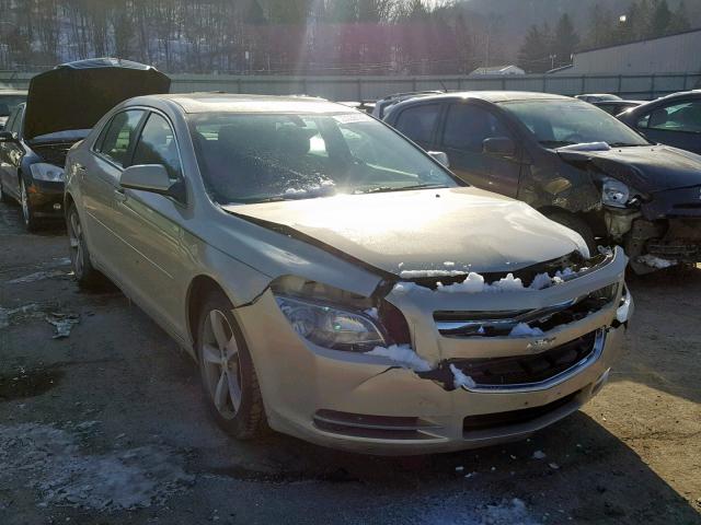 1G1ZC5EU7BF360401 - 2011 CHEVROLET MALIBU 1LT ოქროსფერი ფოტო 1