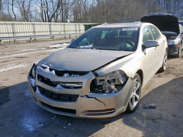 1G1ZC5EU7BF360401 - 2011 CHEVROLET MALIBU 1LT ოქროსფერი ფოტო 2