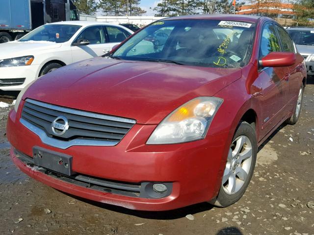 1N4CL21E18C166313 - 2008 NISSAN ALTIMA HYB RED photo 2