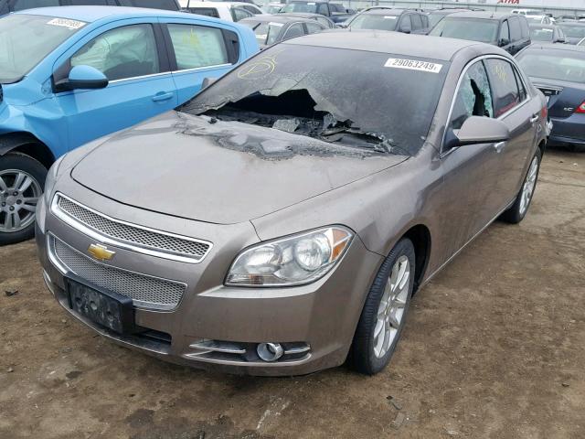 1G1ZE5E15BF390304 - 2011 CHEVROLET MALIBU LTZ TAN photo 2