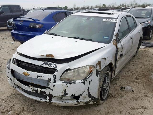 1G1ZD5EU1CF331748 - 2012 CHEVROLET MALIBU 2LT WHITE photo 2