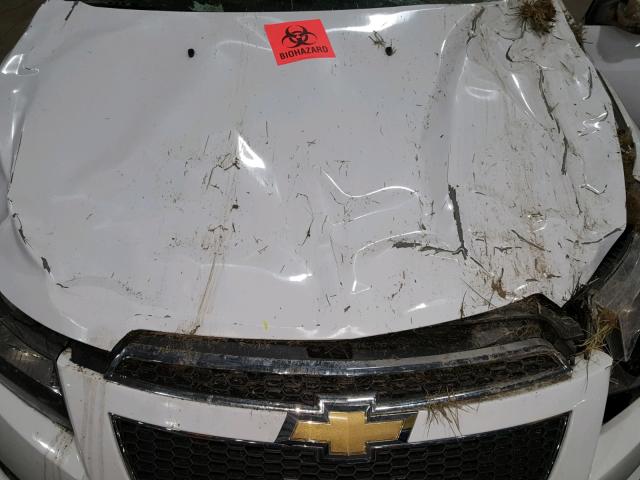 1G1PK5SB9E7173592 - 2014 CHEVROLET CRUZE LT WHITE photo 7