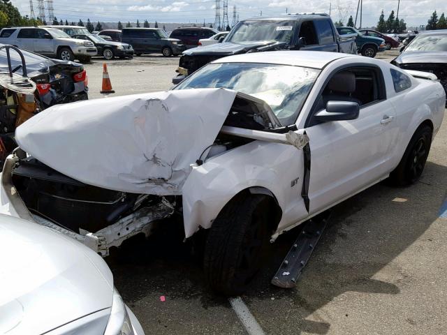 1ZVFT82HX65247697 - 2006 FORD MUSTANG GT WHITE photo 2