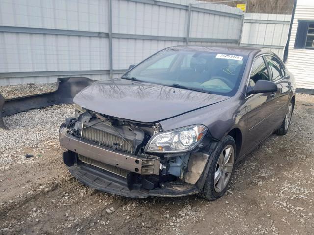 1G1ZB5E09CF165563 - 2012 CHEVROLET MALIBU LS 棕色 照片 2