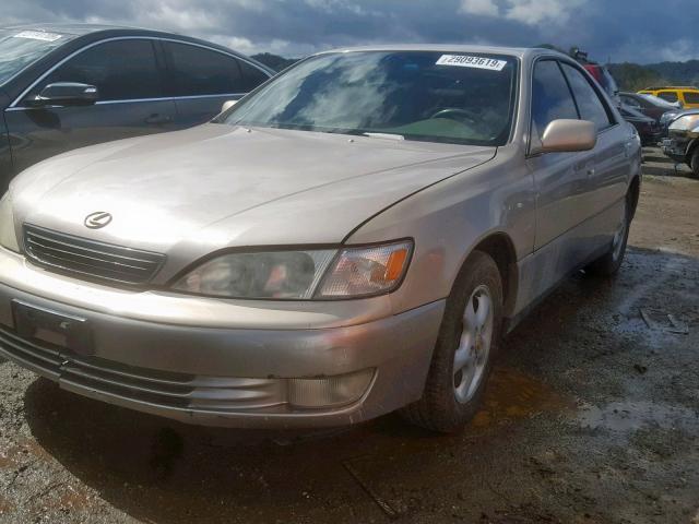 JT8BF28G1W5051196 - 1998 LEXUS ES 300 GOLD photo 2