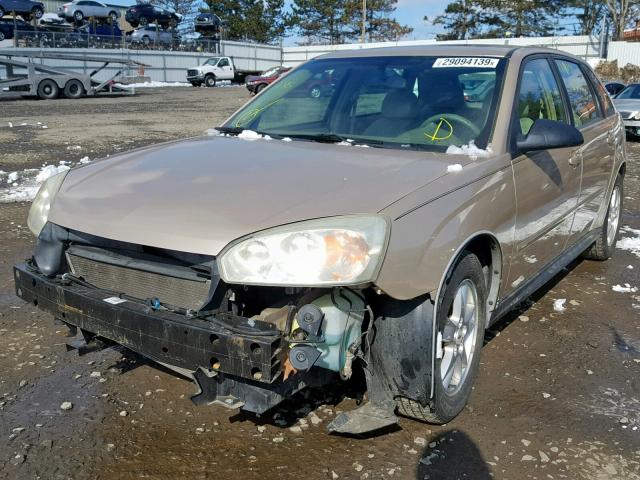1G1ZT64845F153124 - 2005 CHEVROLET MALIBU MAX 金色 照片 2