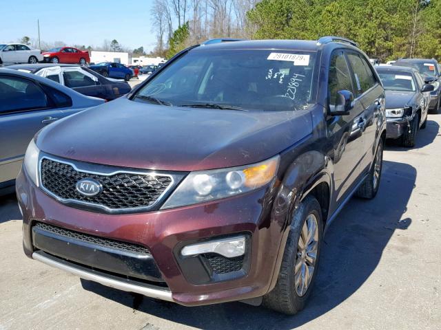 5XYKW4A21CG221894 - 2012 KIA SORENTO SX BURGUNDY photo 2