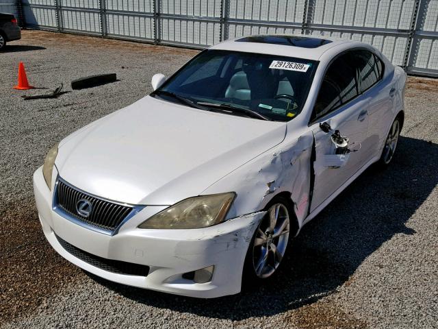 JTHBK262395096826 - 2009 LEXUS IS 250 WHITE photo 2