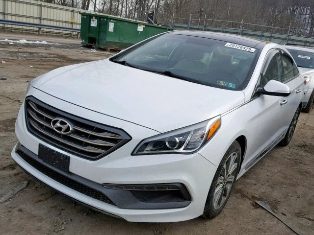 5NPE34AF6GH436324 - 2016 HYUNDAI SONATA SPO WHITE photo 2