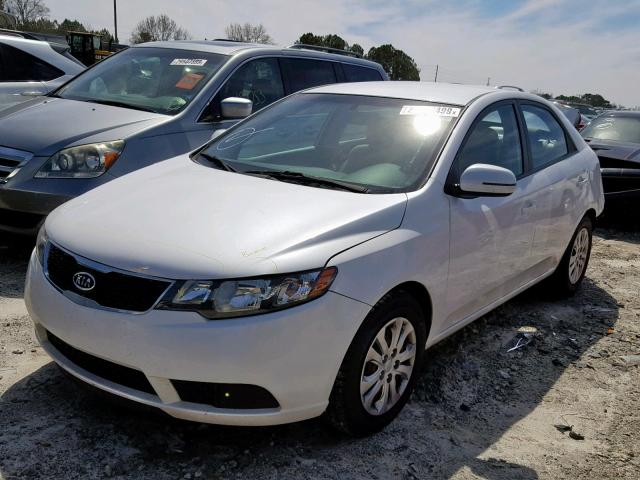 KNAFU4A25C5584535 - 2012 KIA FORTE EX WHITE photo 2