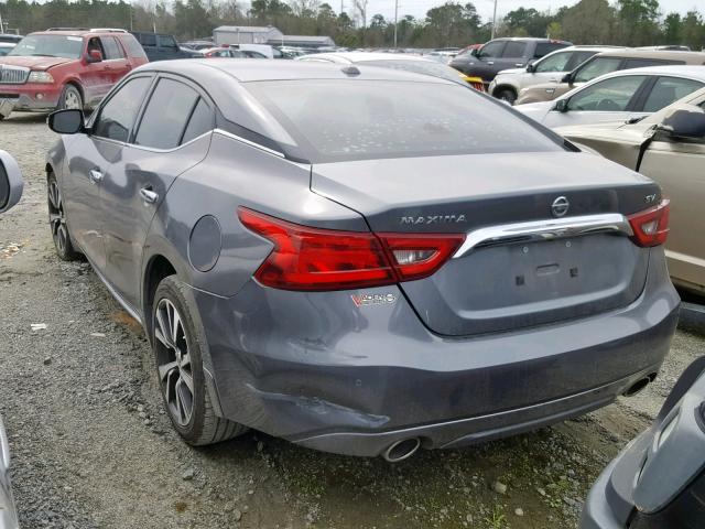 1N4AA6AP9GC433881 - 2016 NISSAN MAXIMA 3.5 GRAY photo 3