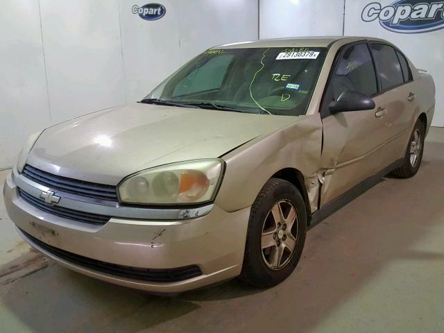 1G1ZT54875F200088 - 2005 CHEVROLET MALIBU LS GOLD photo 2