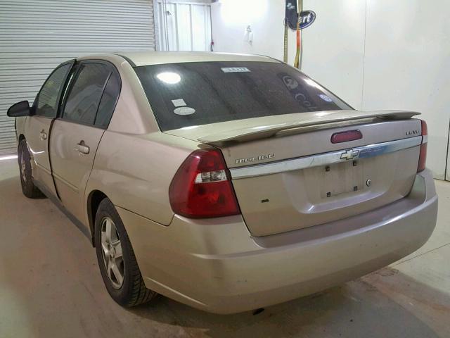 1G1ZT54875F200088 - 2005 CHEVROLET MALIBU LS GOLD photo 3