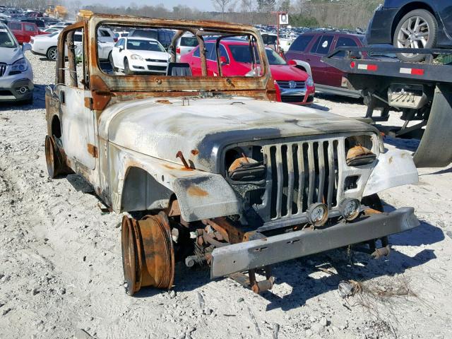 1J4FY29S5PP241616 - 1993 JEEP WRANGLER / BURN photo 1