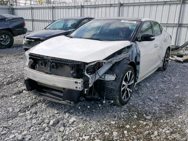 1N4AA6APXHC403077 - 2017 NISSAN MAXIMA 3.5 WHITE photo 2