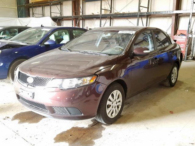 KNAFU4A29A5104185 - 2010 KIA FORTE EX MAROON photo 2