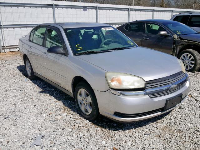 1G1ZT52875F259242 - 2005 CHEVROLET MALIBU LS SILVER photo 1
