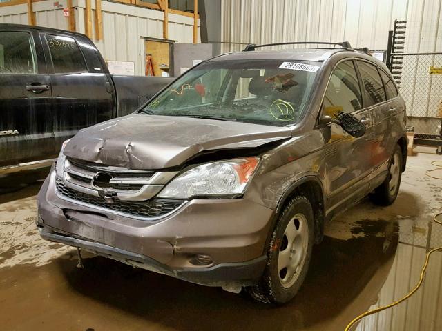 5J6RE4H73AL813392 - 2010 HONDA CR-V EXL BROWN photo 2