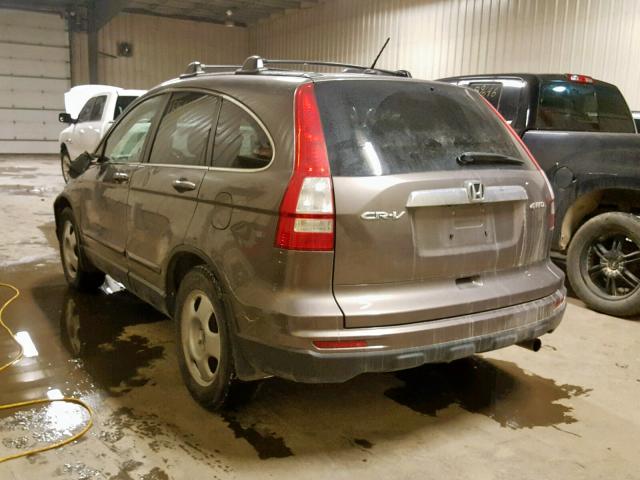 5J6RE4H73AL813392 - 2010 HONDA CR-V EXL BROWN photo 3