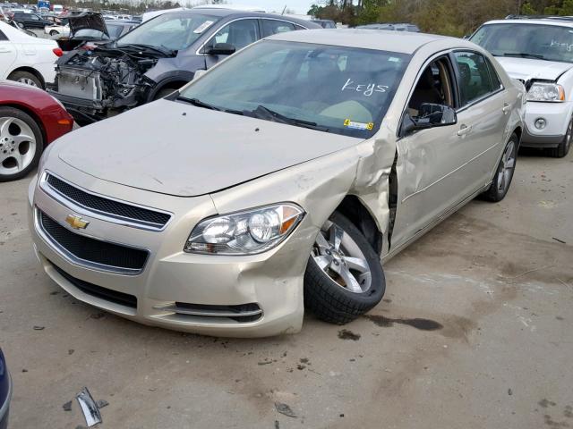 1G1ZC5E12BF314366 - 2011 CHEVROLET MALIBU 1LT 金色 照片 2