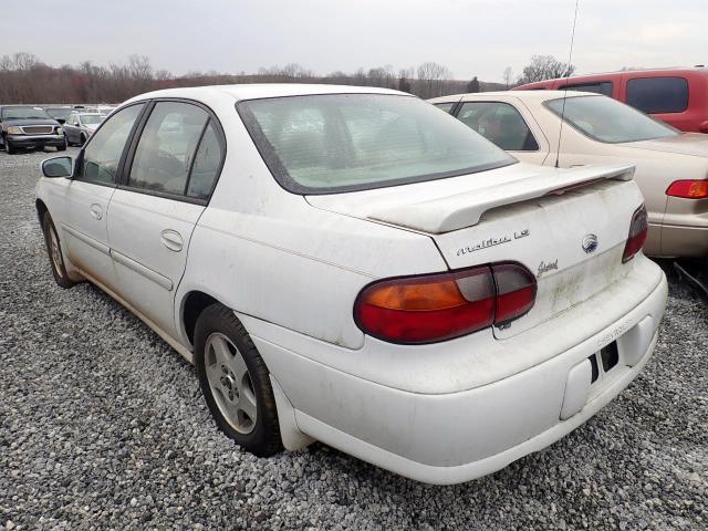 1G1NE52J12M533666 - 2002 CHEVROLET MALIBU LS WHITE photo 3