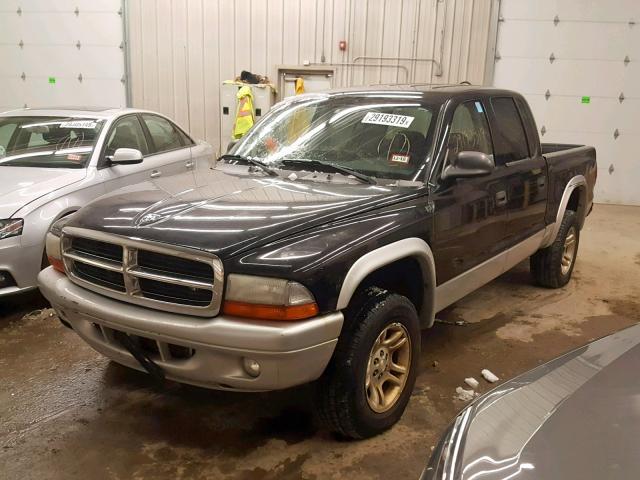 1D7HG48N24S717960 - 2004 DODGE DAKOTA QUA BLACK photo 2