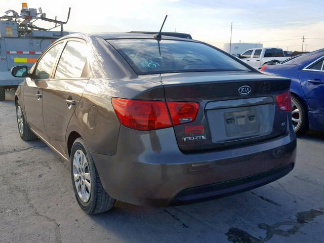 KNAFU4A25B5377125 - 2011 KIA FORTE EX BROWN photo 3