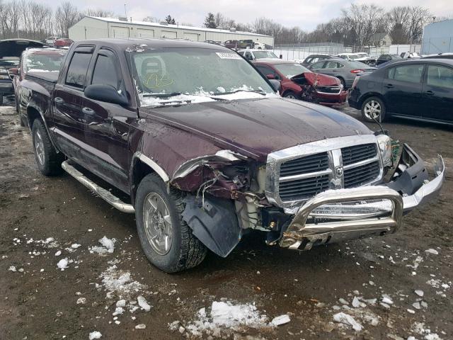 1D7HW48NX5S294131 - 2005 DODGE DAKOTA QUA MAROON photo 1