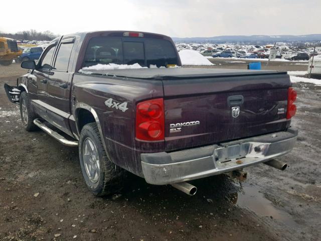 1D7HW48NX5S294131 - 2005 DODGE DAKOTA QUA MAROON photo 3