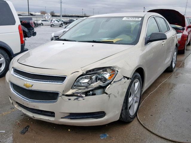 1G1ZA5EBXAF179277 - 2010 CHEVROLET MALIBU LS TAN photo 2