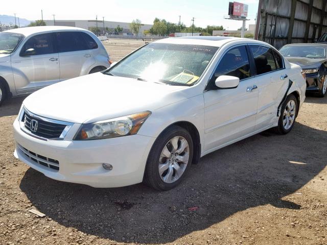 1HGCP36849A009123 - 2009 HONDA ACCORD EXL WHITE photo 2