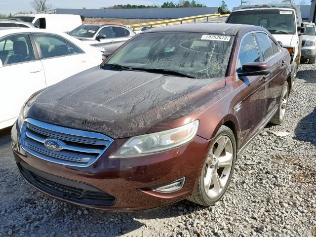 1FAHP2EW3AG142686 - 2010 FORD TAURUS SEL BURGUNDY photo 2