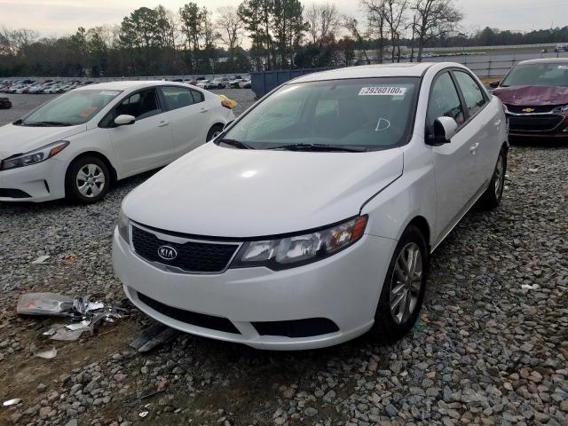 KNAFU4A29C5596235 - 2012 KIA FORTE EX  photo 2