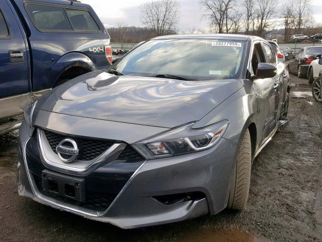 1N4AA6AP2HC419287 - 2017 NISSAN MAXIMA 3.5 GRAY photo 2