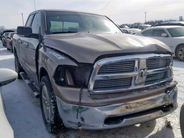 1D7RV1GT7AS163318 - 2010 DODGE RAM 1500 BROWN photo 1