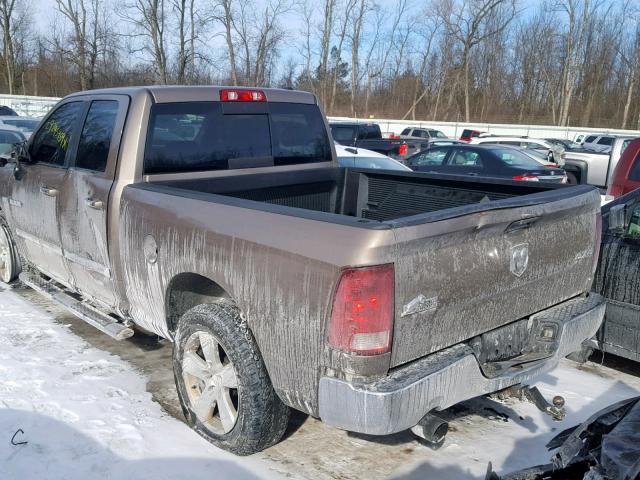 1D7RV1GT7AS163318 - 2010 DODGE RAM 1500 BROWN photo 3