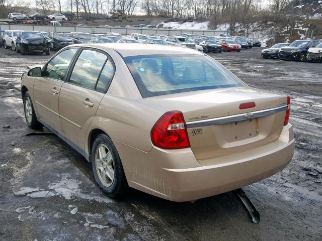1G1ZT52885F242188 - 2005 CHEVROLET MALIBU LS TAN photo 3