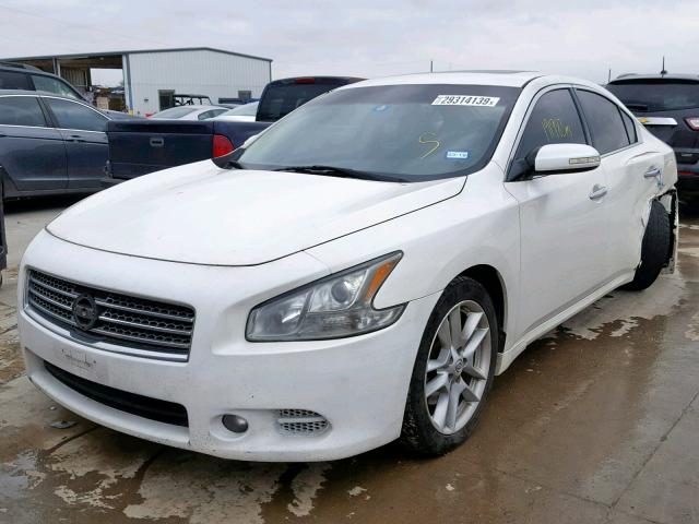 1N4AA51E09C855372 - 2009 NISSAN MAXIMA S WHITE photo 2