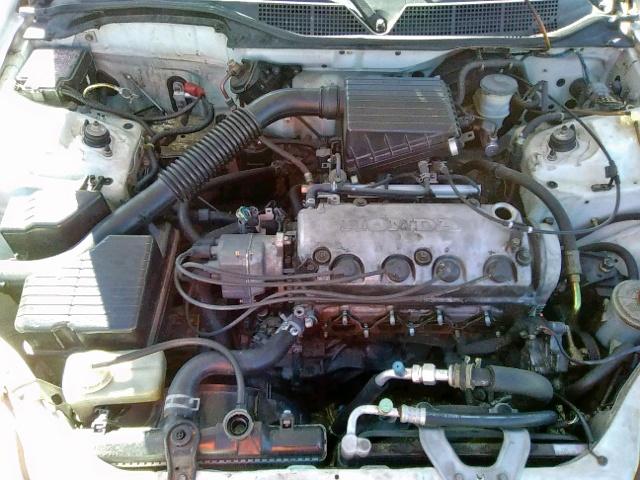 2HGEJ6627VH540559 - 1997 HONDA CIVIC DX WHITE photo 7