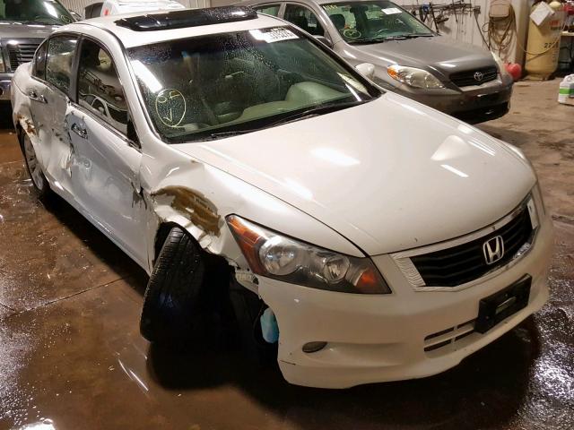 1HGCP36808A035670 - 2008 HONDA ACCORD EXL WHITE photo 1